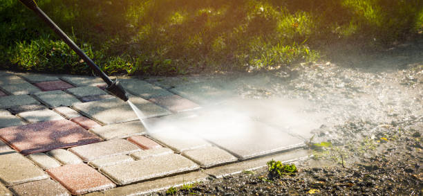 Best Solar Panel Cleaning  in Overland, MO